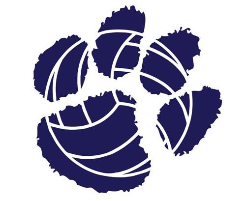 Girls Volleyball Logo 